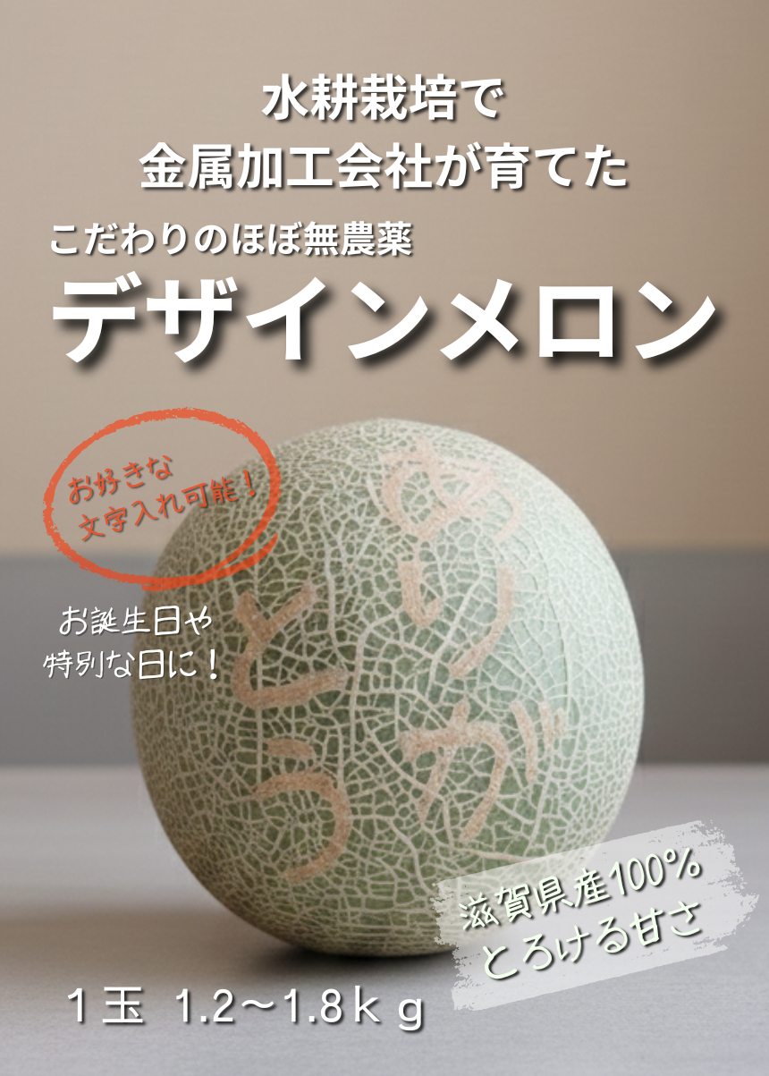 メカメロン プロテイン 滋賀県 山岡精機株式会社