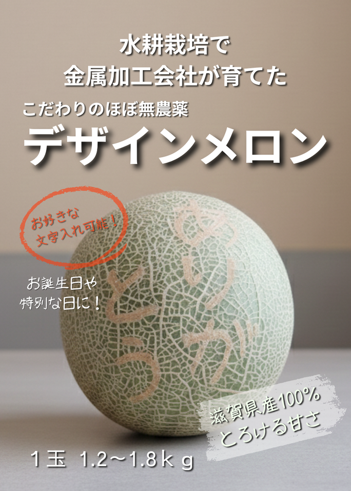 Products – Mecha Melon