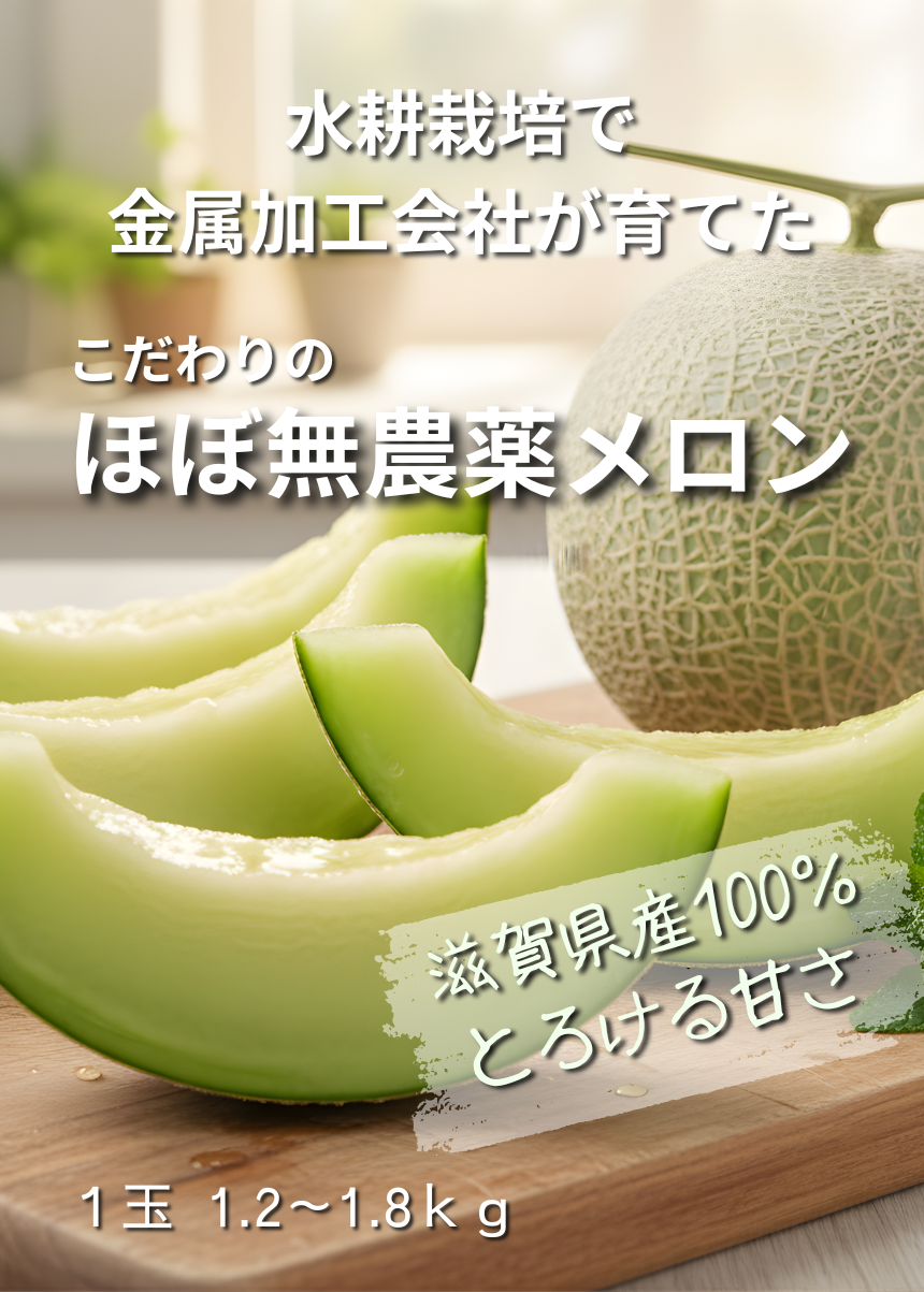 メカメロン プロテイン 滋賀県 山岡精機株式会社