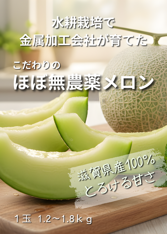 メカメロン プロテイン 滋賀県 山岡精機株式会社