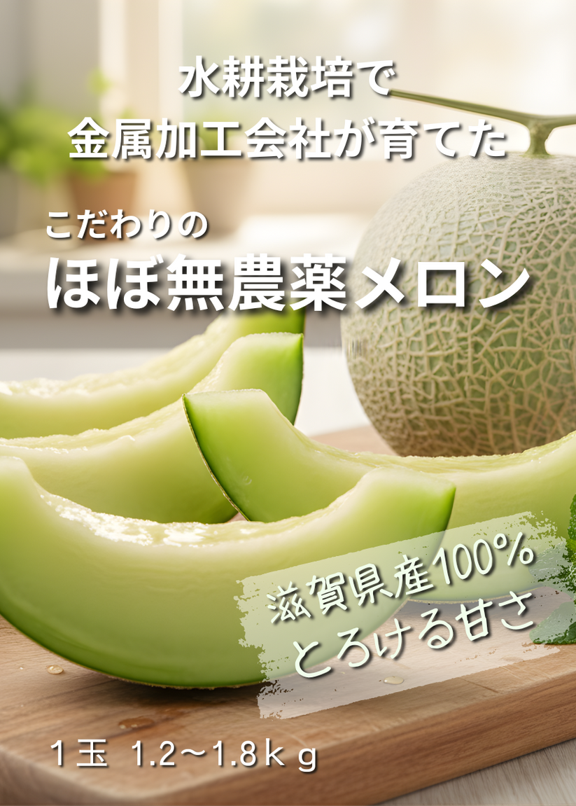 Original Melon – Mecha Melon
